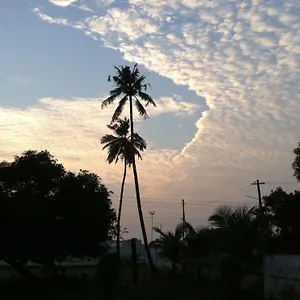 baywatch-beach-resort.hotels-alappuzha.com/